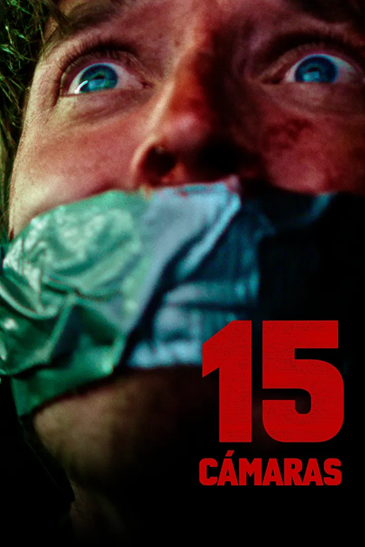 15 cámaras