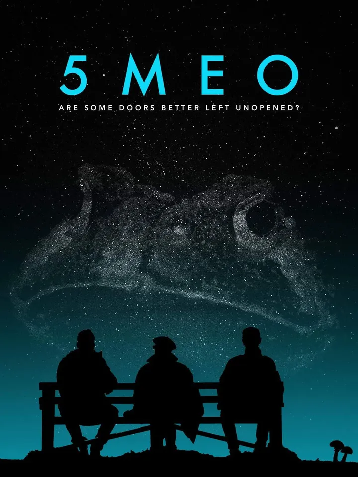 5MEO: Are Some Doors Better Left Unopened?