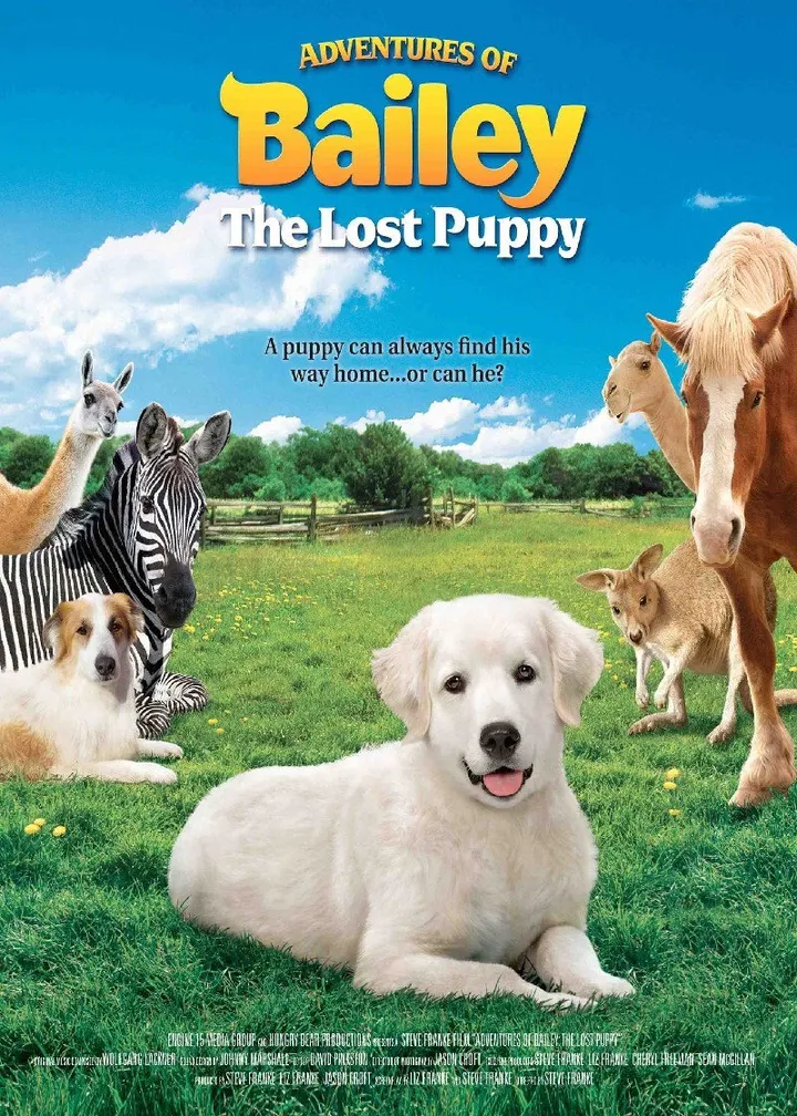 Las Aventuras de Bailey: El cachorro perdido