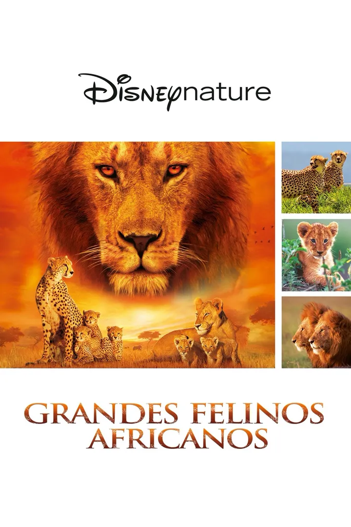 Felinos de África