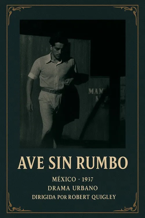 Ave Sin Rumbo