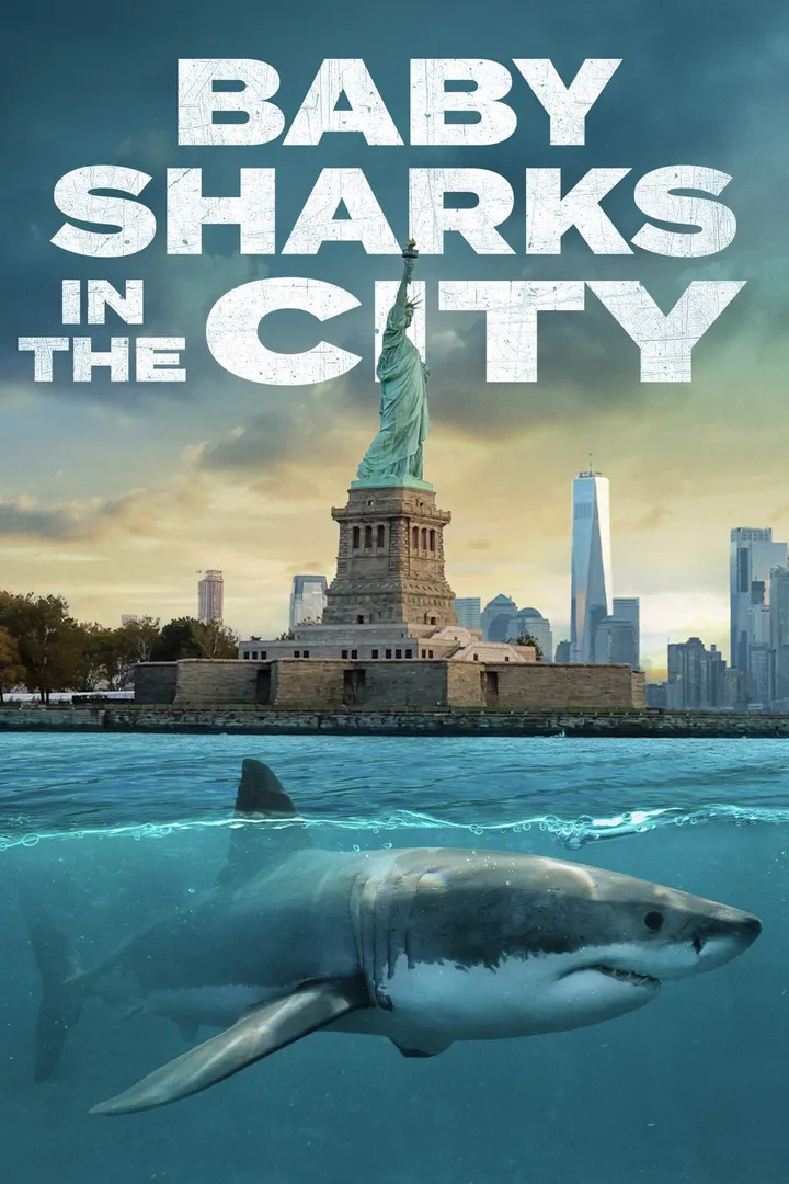 Baby Sharks in the City