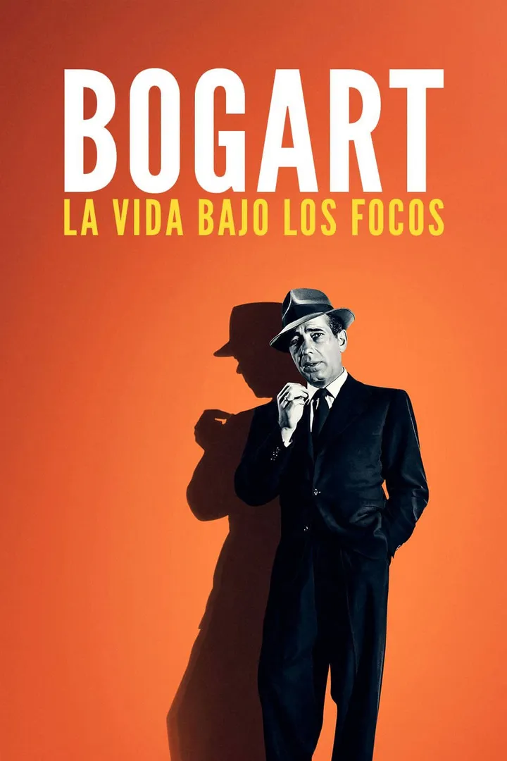 Bogart: Life Comes in Flashes