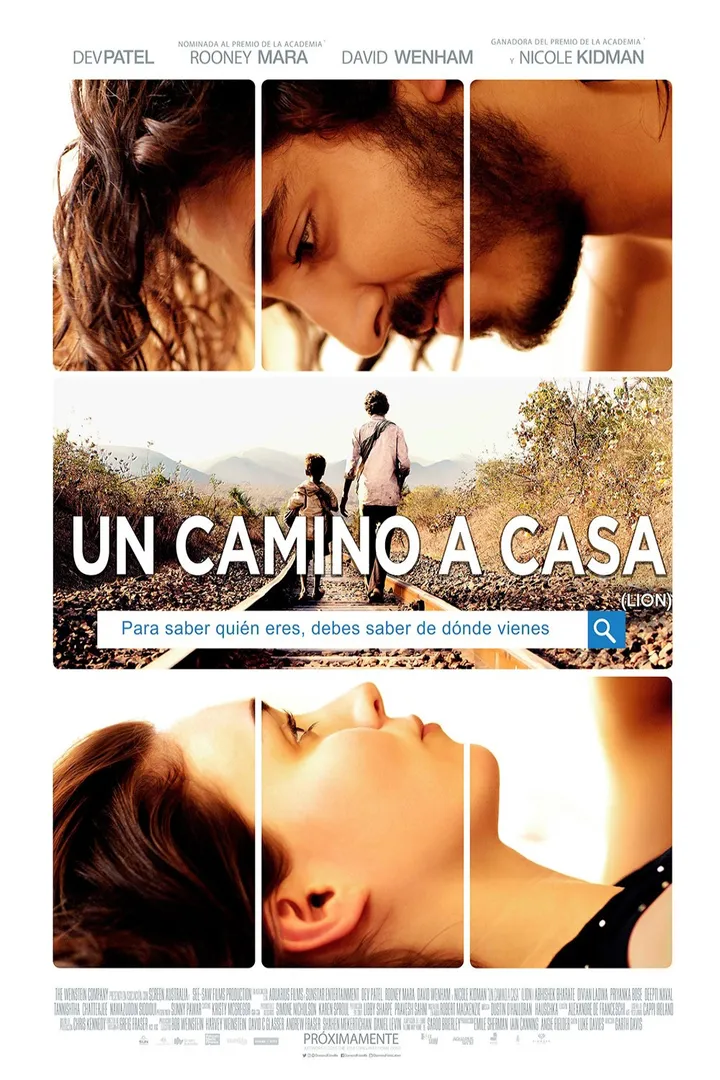 Camino