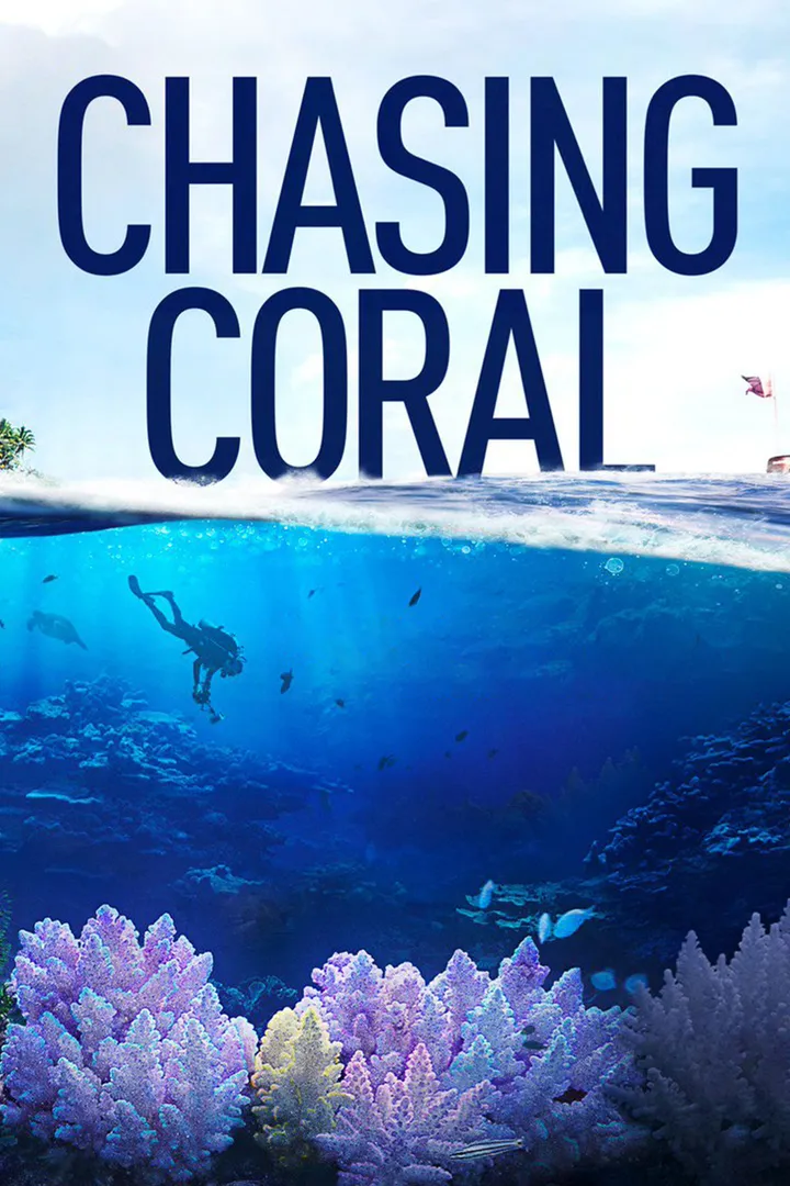 En busca del coral