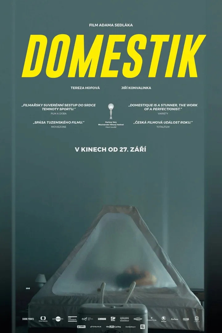 Domestique