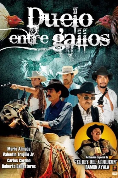 Duelo entre Gallos