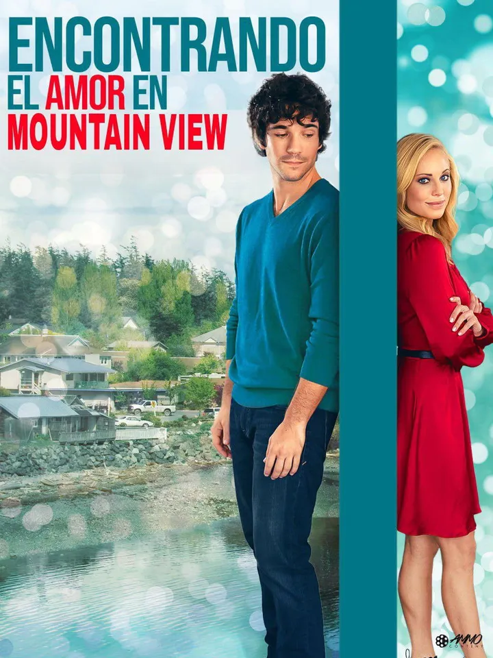 Finding Love in Mountain View