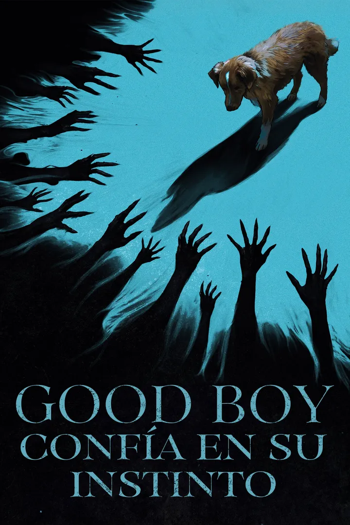 Good Boy: Confia en su Instinto