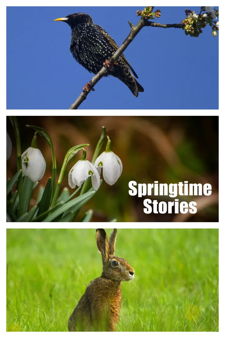 Historias de primavera