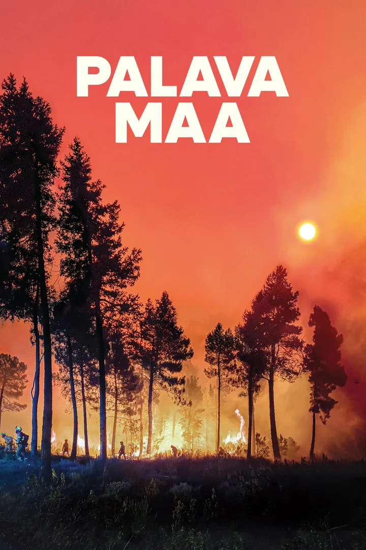 Maa