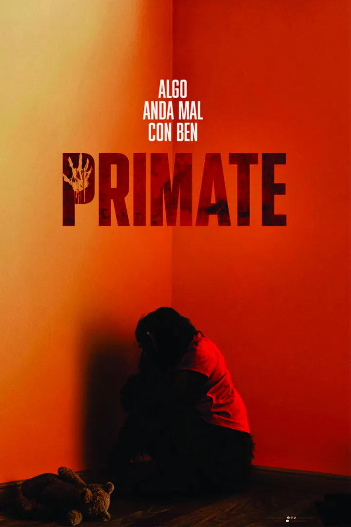 Primate