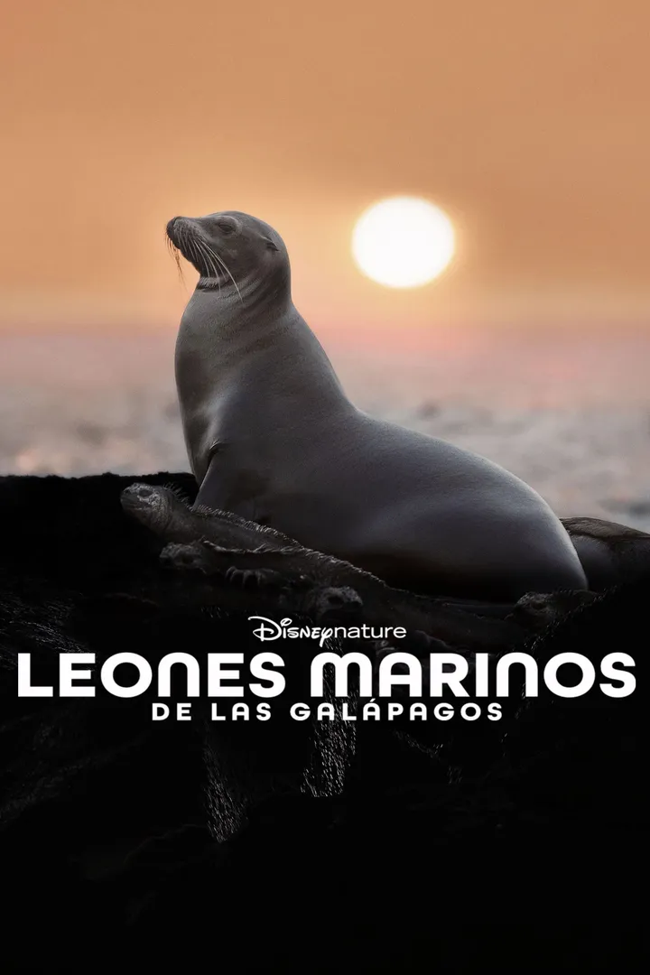Leones Marinos de las Galápagos