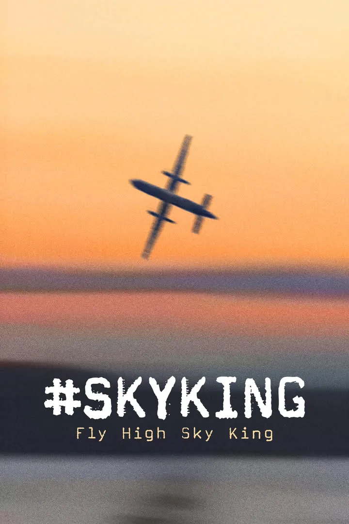 #SKYKING