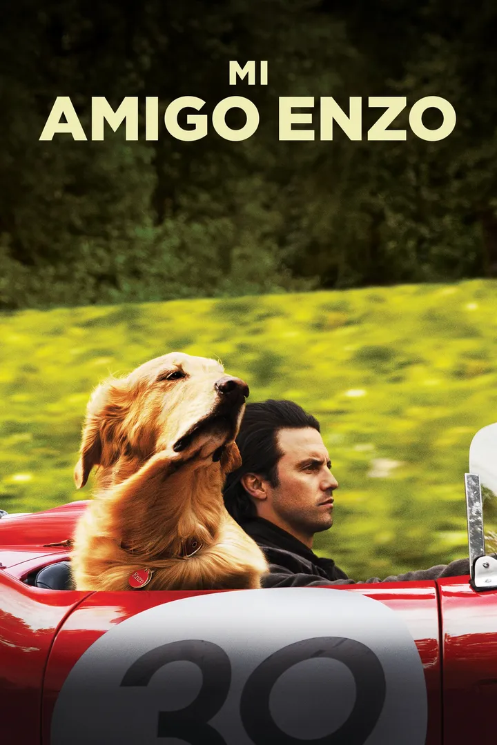Mi Amigo Enzo