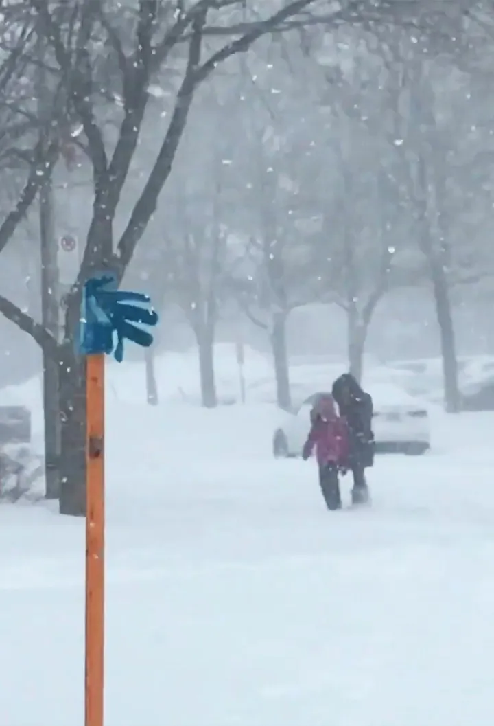Tormenta de nieve