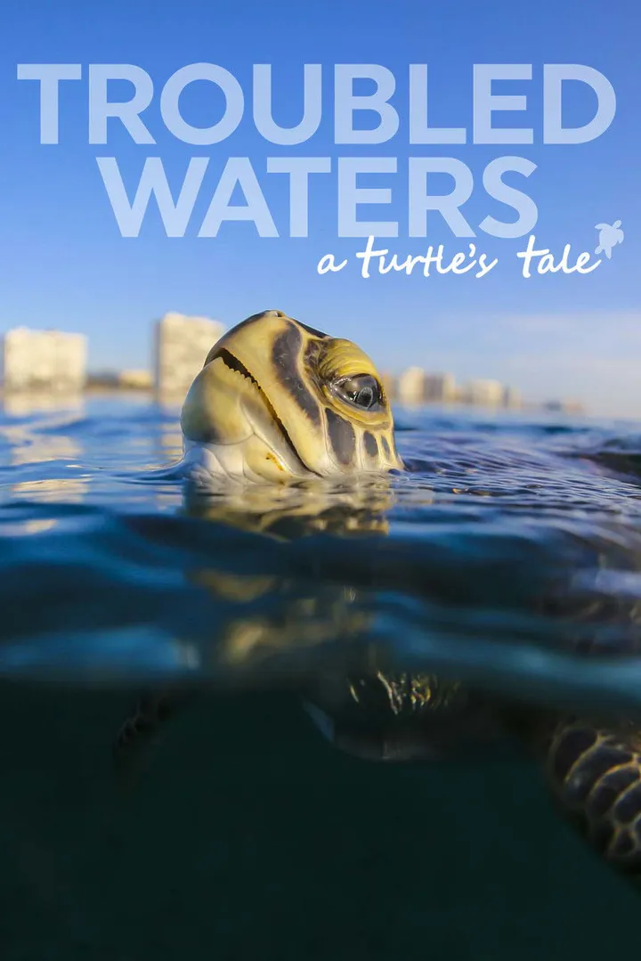Troubled Waters