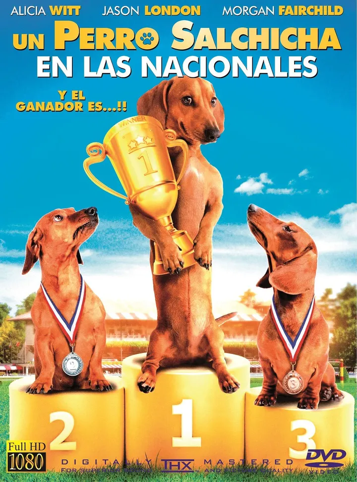 Un Perro Salchicha en las Nacionales