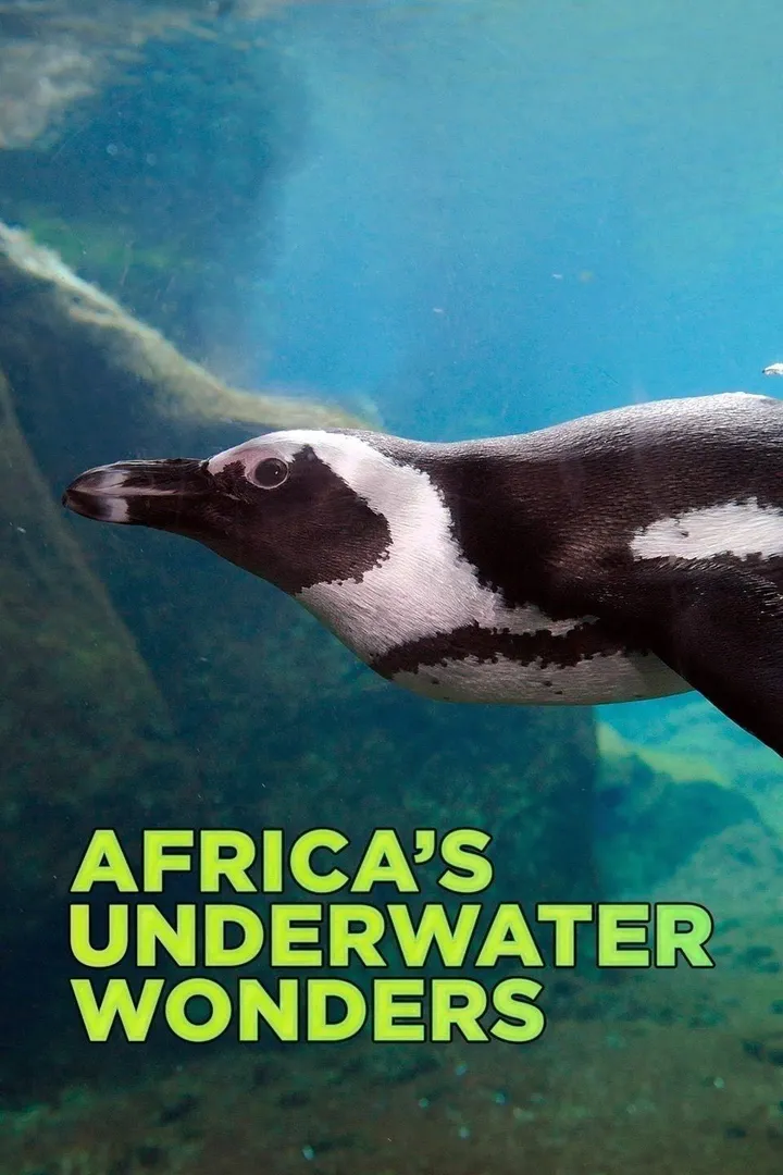 Maravillas Submarinas de África