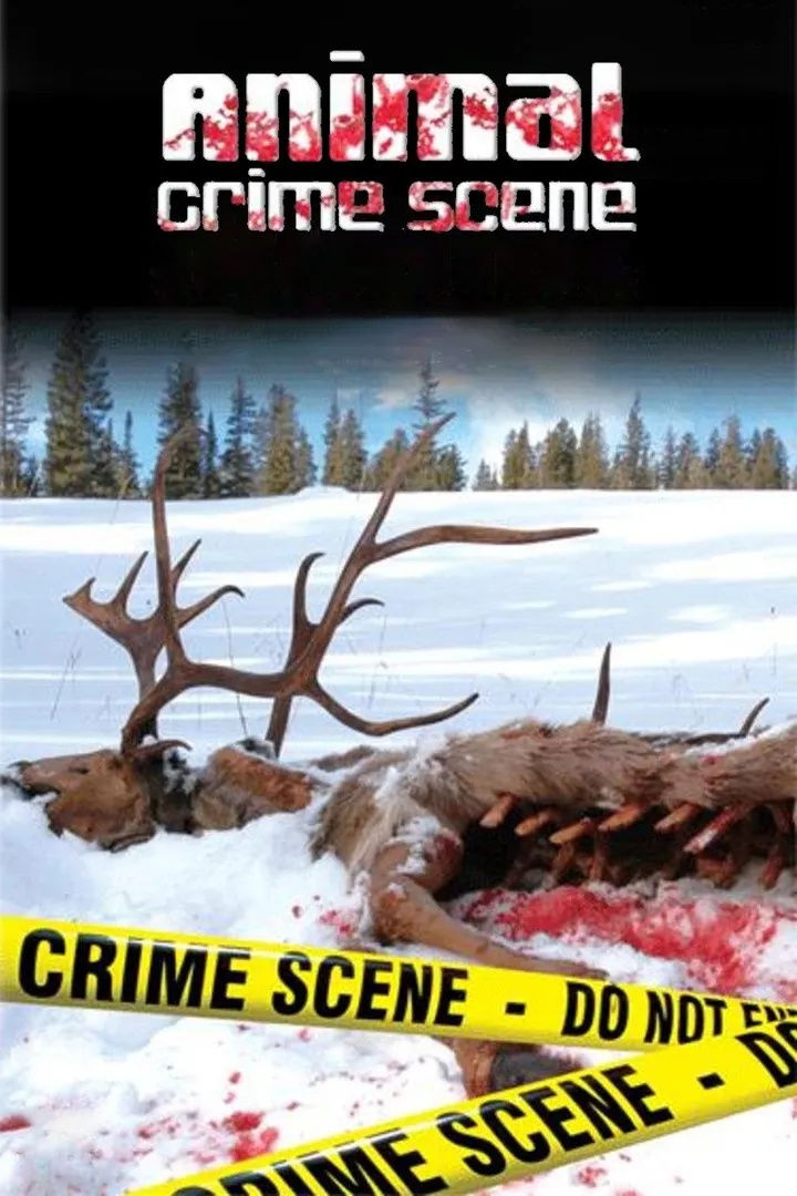 La escena del crimen