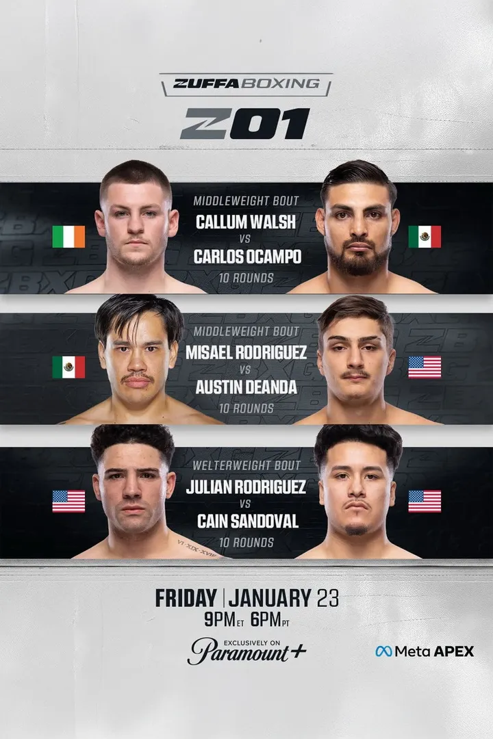 Zuffa Boxing